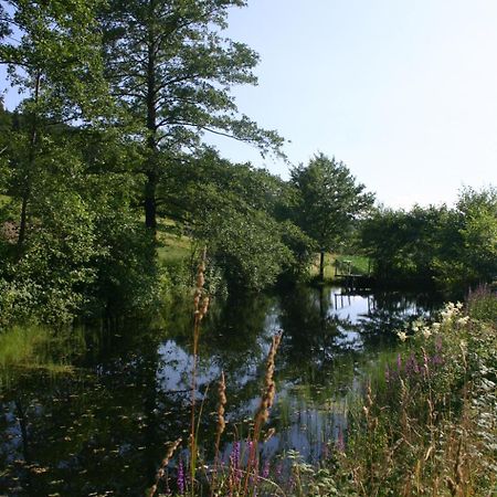 Hotel Landgut Stetter Schöllnach Esterno foto