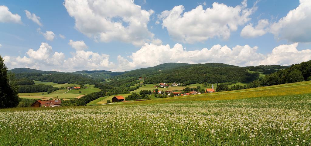 Hotel Landgut Stetter Schöllnach Esterno foto