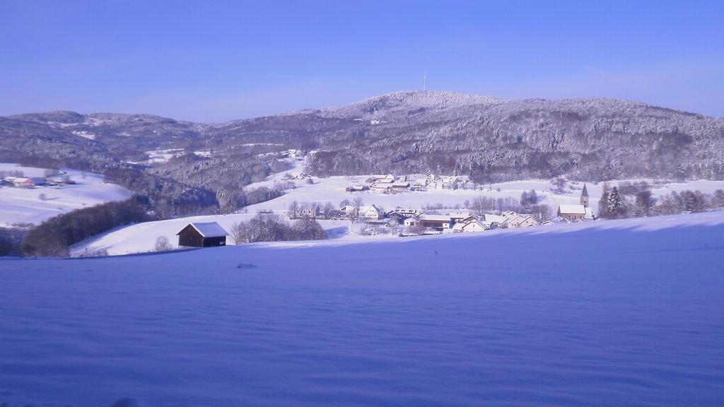 Hotel Landgut Stetter Schöllnach Esterno foto