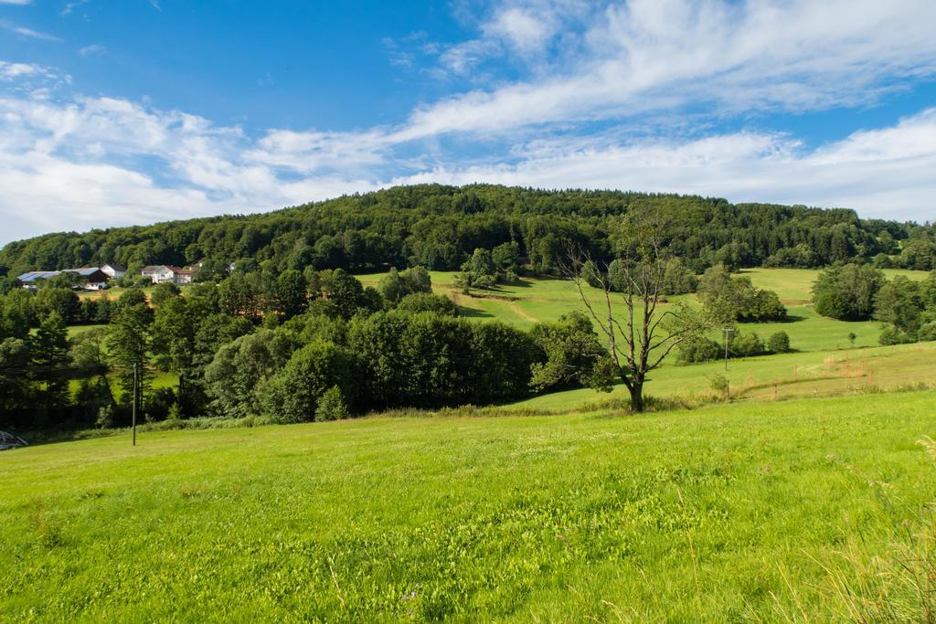 Hotel Landgut Stetter Schöllnach Esterno foto