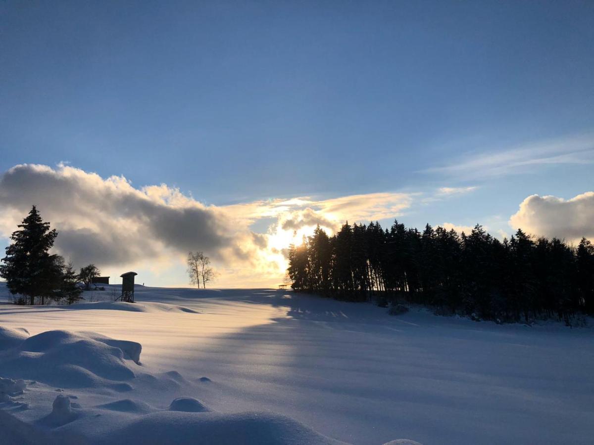 Hotel Landgut Stetter Schöllnach Esterno foto
